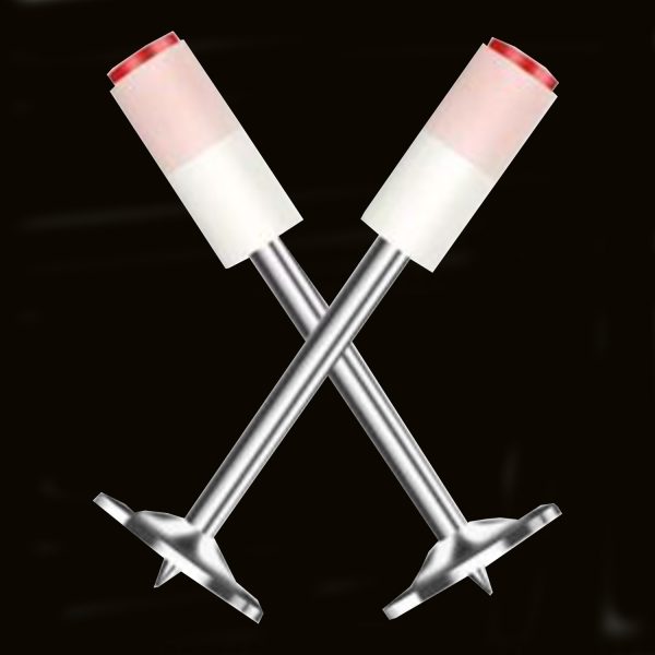 Double-base Powder Integrated Nail-for First Purchase - Image 2